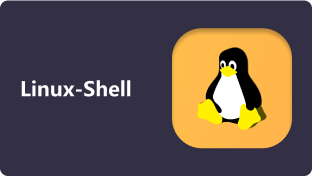  Linux系统管理与Shell脚本